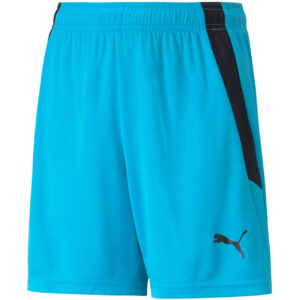 Spodenki dla dzieci Puma teamLIGA Shorts Jr niebieskie 704931 40