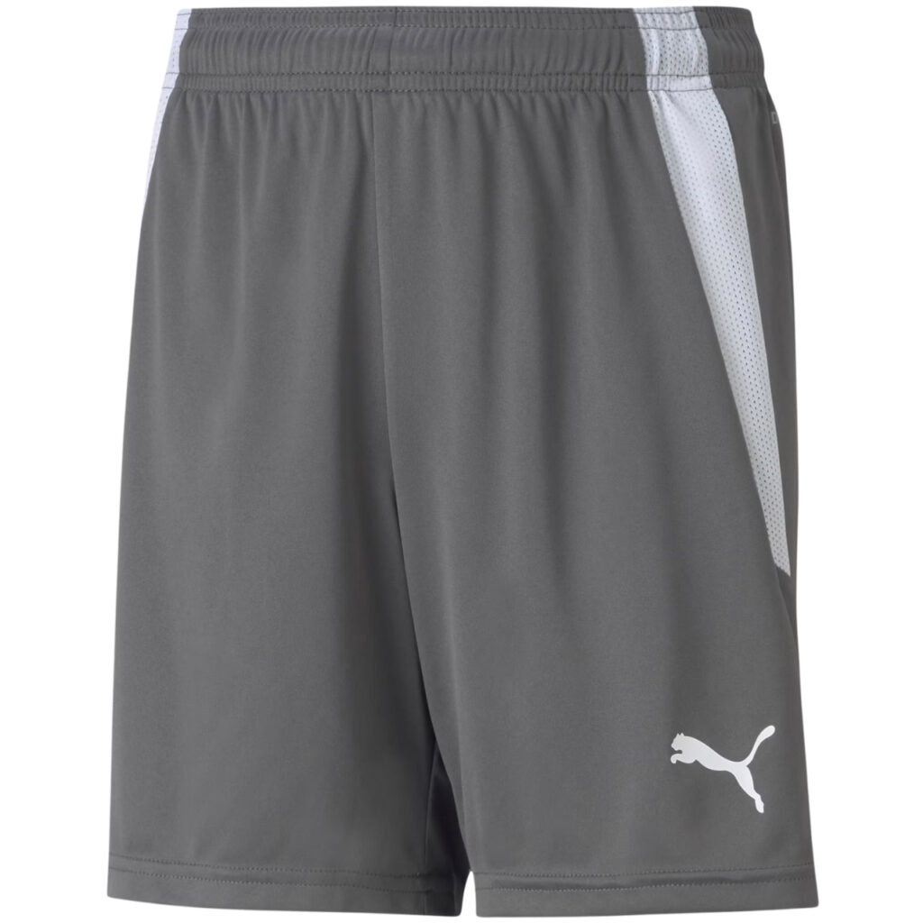 Spodenki dla dzieci Puma teamLIGA Shorts Jr Smoked szare 704931 13