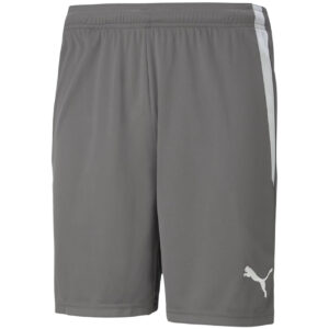 Spodenki męskie Puma teamLIGA szare 704924 13