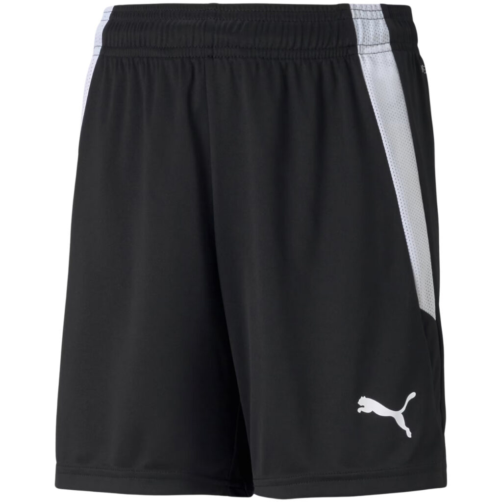 Spodenki dla dzieci Puma teamLIGA Shorts czarne 704931 03